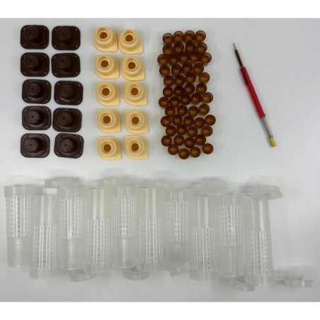 Kit d'élevage de reines